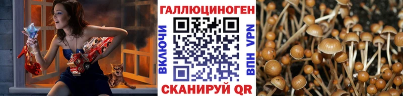 mega вход  Любань  Псилоцибиновые грибы MAGIC MUSHROOMS 
